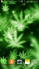 Marijuana Live Wallpaper screenshot 9