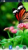 Butterflies Live Wallpaper screenshot 6