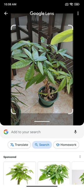 Google Lens - Preview 2