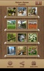Nature Jigsaw Puzzles screenshot 7
