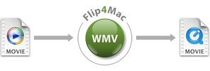 Flip4Mac screenshot 1