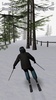 Alpine Ski III screenshot 14