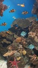 Ocean Fish Live Wallpaper screenshot 7