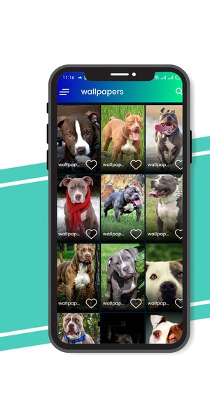 Pitbull Wallpaper - Preview 3