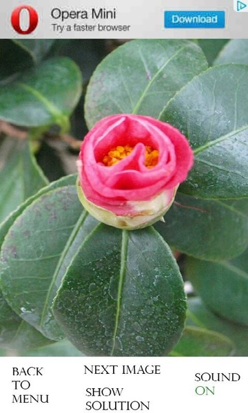 PhotoPuzzle - Flowers free - Preview 4