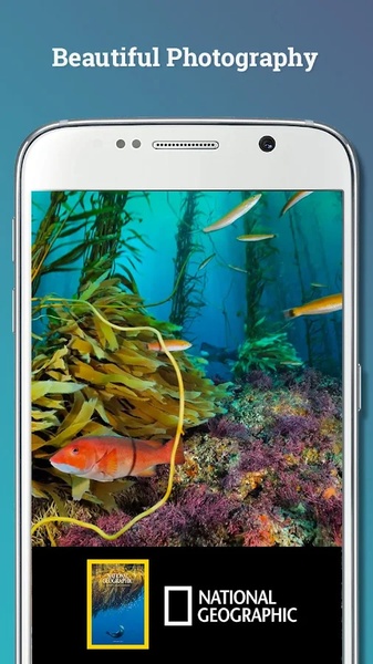 Texture - Preview 6