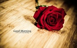 Good morning Images Gifs, Flowers Roses wallpapers screenshot 13