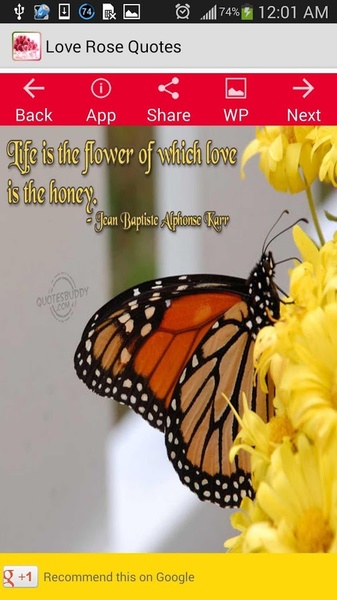 Love Rose Quotes - Preview 7