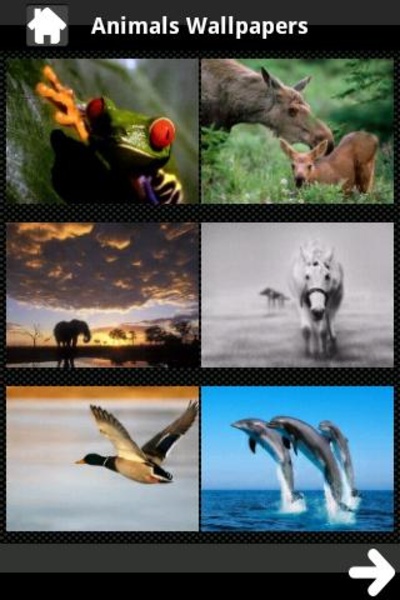 HD Backgrounds - Preview 5