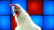 Techno Chicken Song screenshot 3