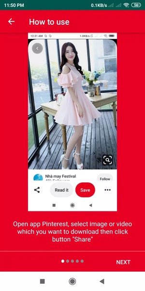 PinDownloader - Preview 1