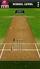 Blind Cricket screenshot 5