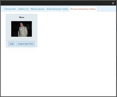 Interactive Video Plugin for WordPress screenshot 2
