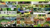 DIY Garden Ideas screenshot 4