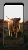 Cow Wallpapers screenshot 2