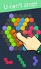 Hex Puzzle screenshot 2