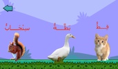 تعلم القراءة العربية screenshot 5
