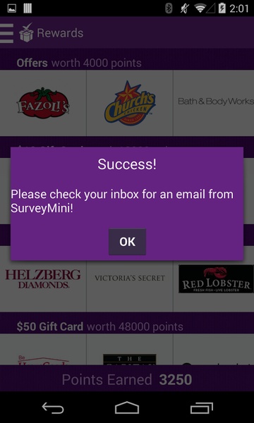 SurveyMini - Preview 1