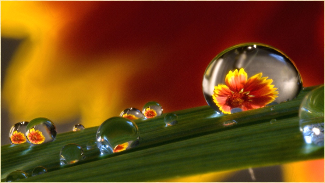 3D Pictures - Preview 6