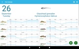 Fish Calendar screenshot 3