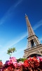 Paris Live Wallpaper screenshot 3