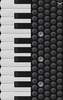 Piano Accordion screenshot 1