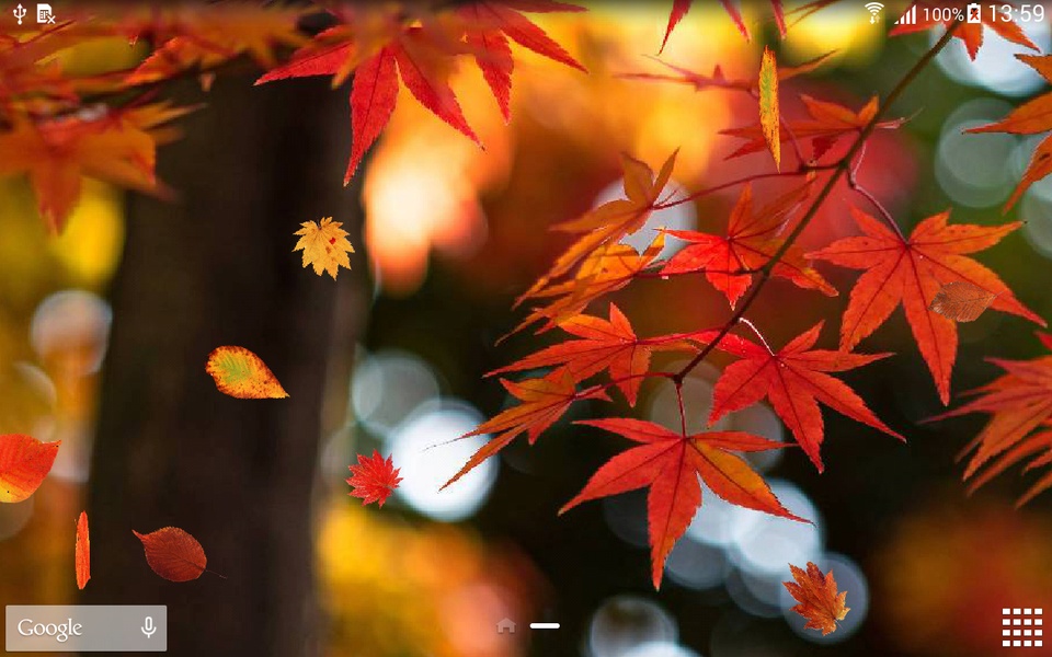 Autumn Leaf Fall Wallpaper - Preview 1
