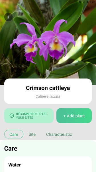 Plant Parent - Preview 19