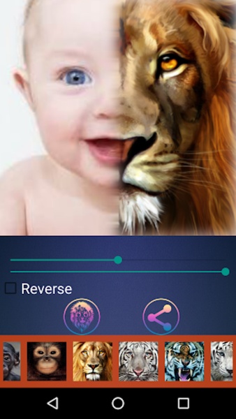 Animal Photo Face Mix - Preview 2
