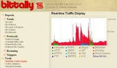 BitTally network traffic monitor screenshot 7