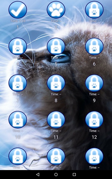 Find a cat 3 - Preview 4