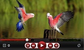 Full HD Video Player screenshot 3