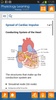 Physiology Learning Pro screenshot 6