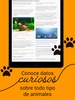 My Animals - Salud y cuidado d screenshot 1