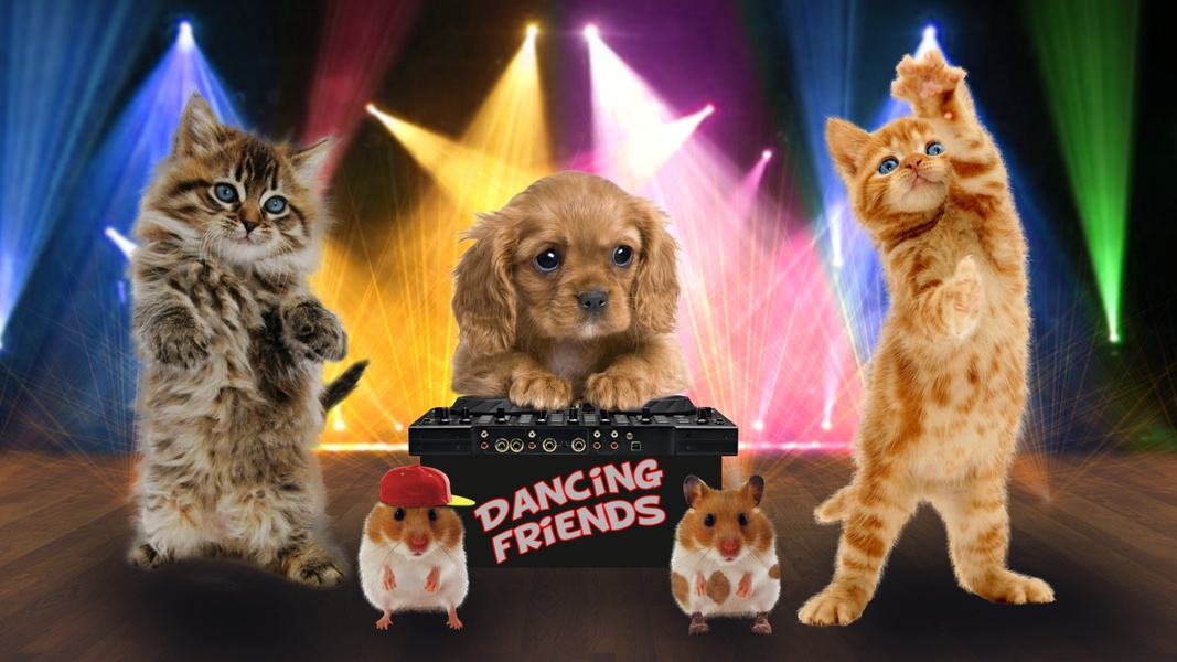 Funny Talking Cats - Preview 1