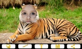 Tiger Photo Frames screenshot 5