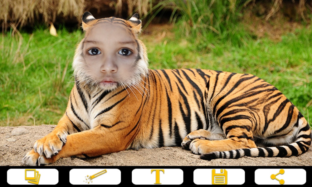 Tiger Photo Frames - Preview 5