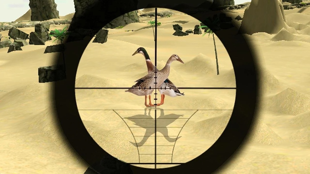 Birds Hunter In Desert - Preview 1