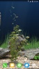 aquarium screenshot 10