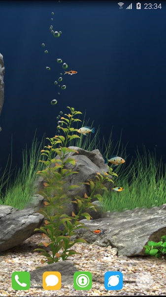 aquarium - Preview 10