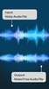 Audio Video Noise Reducer V2 screenshot 3