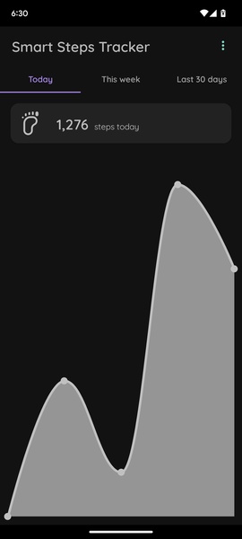 Smart Steps Tracker - Preview 5