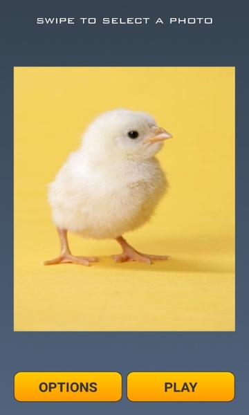 Cute Chicks Puzzle - Preview 4