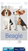 Dog Breeds Golden Retriever | Rottweiler screenshot 9
