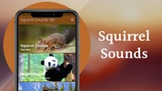 Squirrel Sounds HD screenshot 9