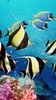 Aquarium Live Wallpaper screenshot 6
