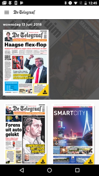 De Telegraaf Krant - Preview 9