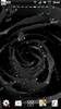 Black Rose live wallpapers screenshot 4