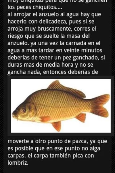 PESCA DE BAGRES - Preview 2