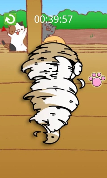 Roll cat - Preview 3